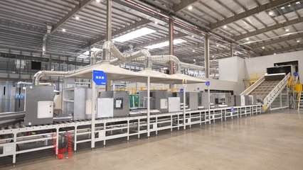 數(shù)字領(lǐng)航 中國制造轉(zhuǎn)型的新“燈塔”——聚焦家用電器行業(yè)