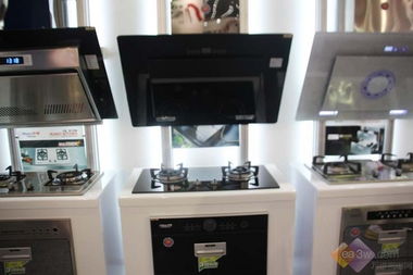 2010順德家電展 華強集團(tuán)全系家用電器閃耀登場